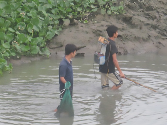 xung điện đánh bắt cá